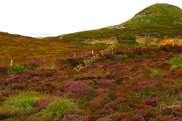 Photo 6"x4" Horn Head - Road scene Dunfanaghy c2005