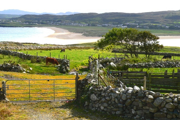 Photo 6"x4" Horn Head - Field, bay inlet, & Dunfanaghy Dunfanaghy c2005 P1