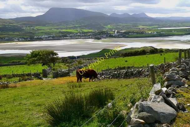 Photo 6"x4" Horn Head - Field & Muckish Mountain Dunfanaghy c2005