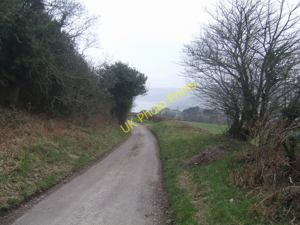 Photo 6"x4" Stonebarrow Lane Catherston Leweston c2009