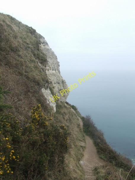Photo 6"x4" Exposed chalk cliff at Beer Head Seaton\/SY2490 c2009