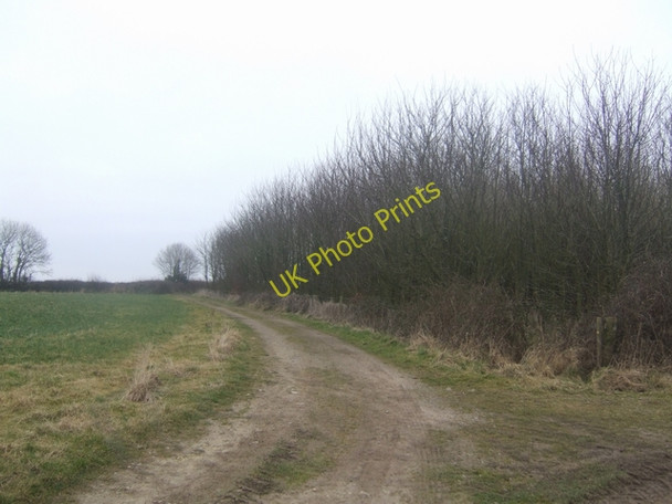 Photo 6"x4" Mare Lane Beer\/SY2289 c2009