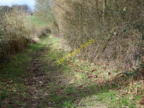 Photo 6"x4" Bridleway, Wiltshire Coppice Ashmore\/ST9117 c2009