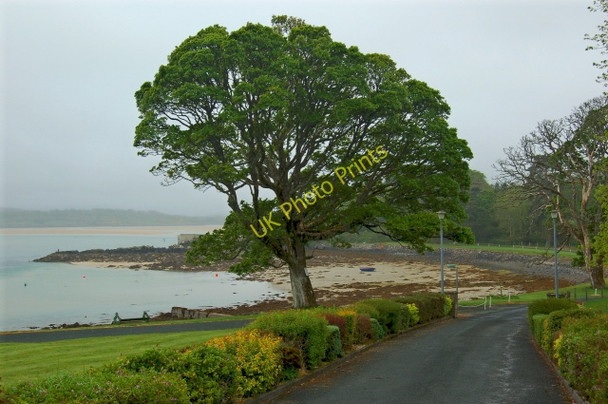 Photo 6"x4" Road from Capuchin Friary just south of Ard's Forest Downies\/C1038 c2008