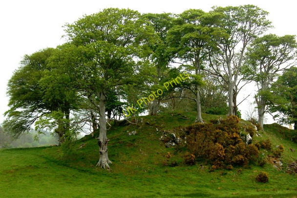 Photo 6"x4" Road from Capuchin Friary just south of Ard's Forest Creeslough c2008 P1