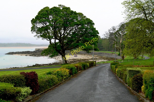 Photo 6"x4" Road from Capuchin Friary just south of Ard's Forest Downies\/C1038 c2008