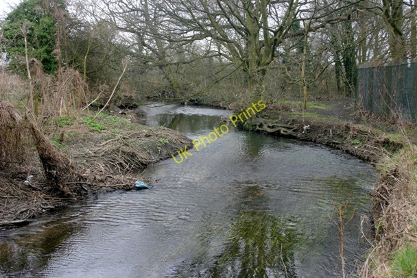 Photo 6"x4" River Crane between Hatton Cross and Hounslow Feltham\/TQ1073 c2009