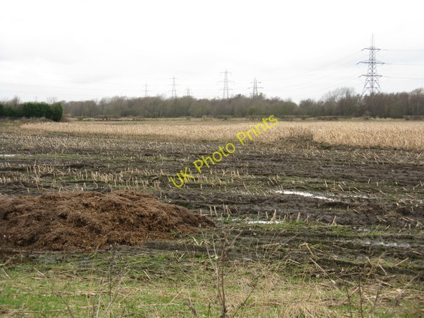 Photo 6"x4" Stubble Surprise Stretford\/SJ7994 c2009