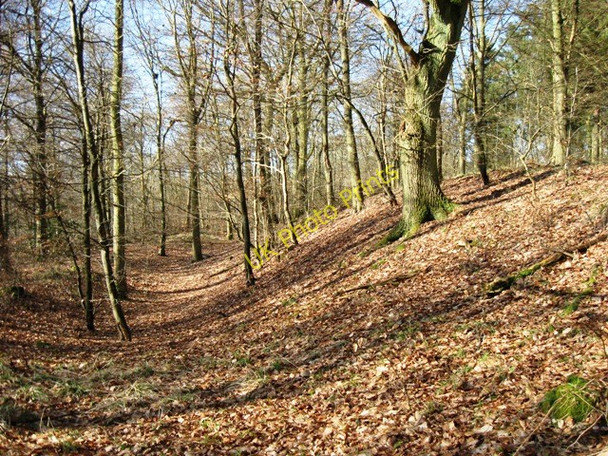 Photo 6"x4" Boddington Banks looking West Wendover c2009