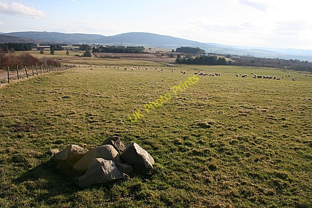 Photo 6"x4" Foggy Moss from Moss of Paithnick Grange Crossroads c2009