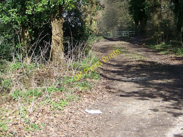 Photo 6"x4" Footpath to Hightown Copse Ringwood\/SU1505 c2009