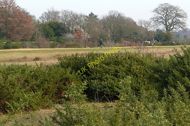 Photo 6"x4" Greenham Common Newbury\/SU4767 c2009