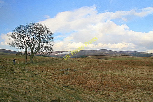 Photo 6"x4" Path to Auchnacree Auchnacree c2009
