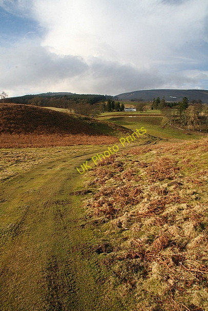 Photo 6"x4" Path to Auchnacree Auchnacree c2009