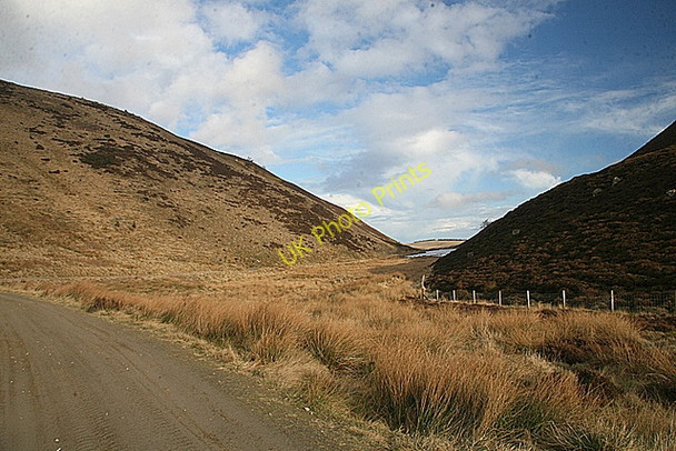 Photo 6"x4" Craig Corrie Auchnacree c2009