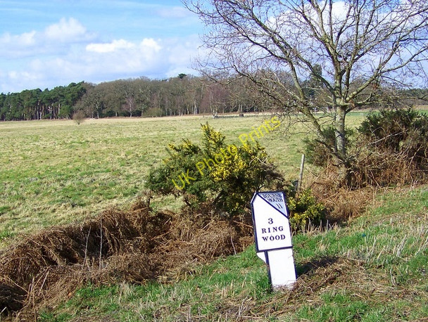 Photo 6"x4" Milepost, Bisterne Bisterne c2009