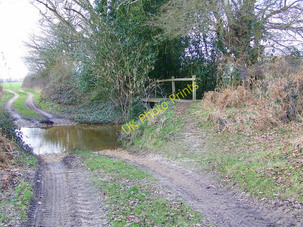 Photo 6"x4" Footpath near Ripley North Ripley c2009