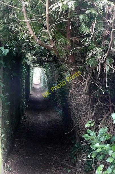 Photo 6"x4" Footpath past Padworth Mill Aldermaston Wharf c2009