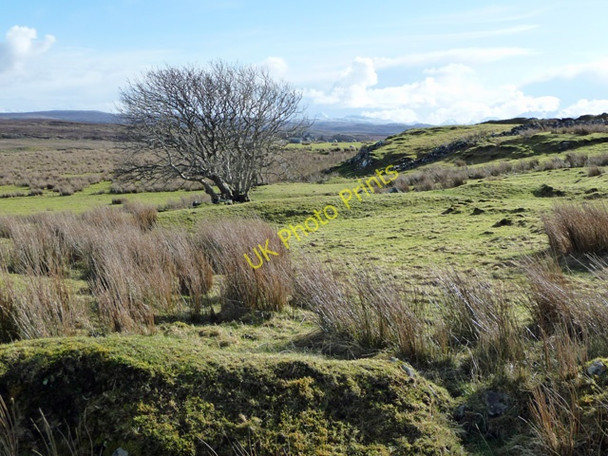 Photo 6"x4" Grazing land at Roag Ardroag c2009