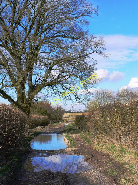 Photo 6"x4" Restricted byway, north of Yatesbury Yatesbury c2009