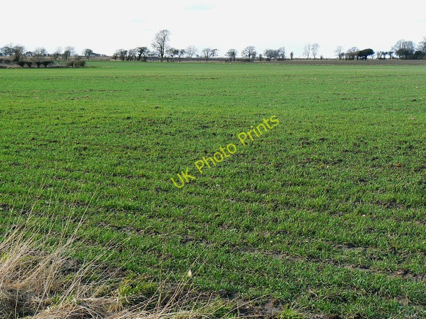 Photo 6"x4" Field and new crop, near Yatesbury Yatesbury c2009