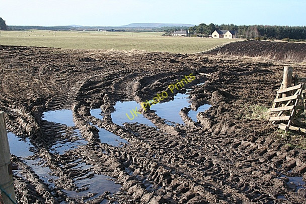 Photo 6"x4" Mud, Glorious Mud! Clackmarras c2009