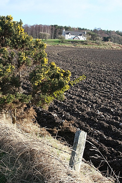 Photo 6"x4" New House near Clackmarras Clackmarras c2009