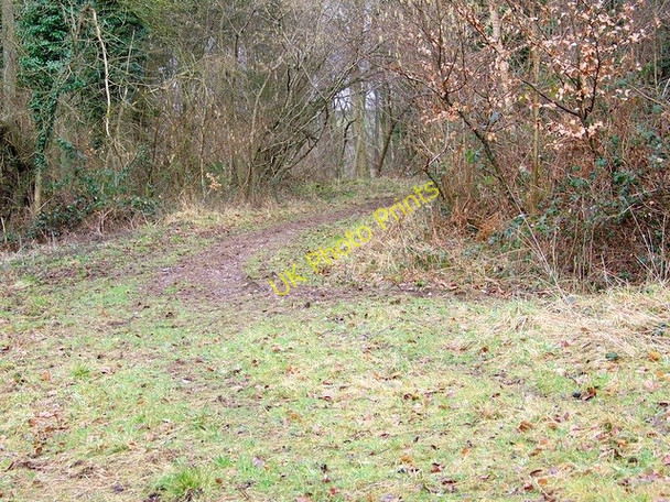 Photo 6"x4" Path, Stonedown Wood Deanland c2009