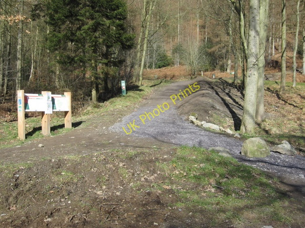Photo 6"x4" Mountain bike trail below Moel Famau Tafarn-y-Gelyn c2009