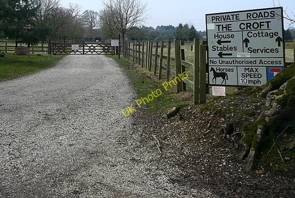Photo 6"x4" Roads to The Croft Padworth Common c2009