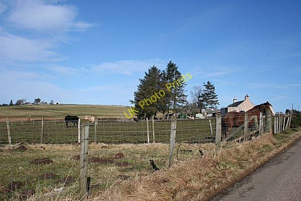 Photo 6"x4" Broomhill Croft Newmill\/NJ4352 c2009