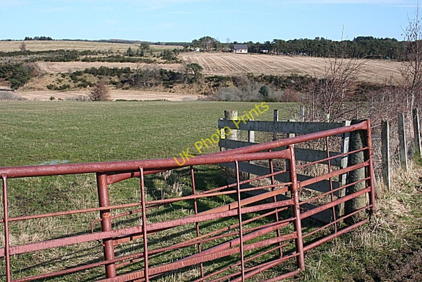 Photo 6"x4" Looking Towards Roehill Glen of Newmill c2009