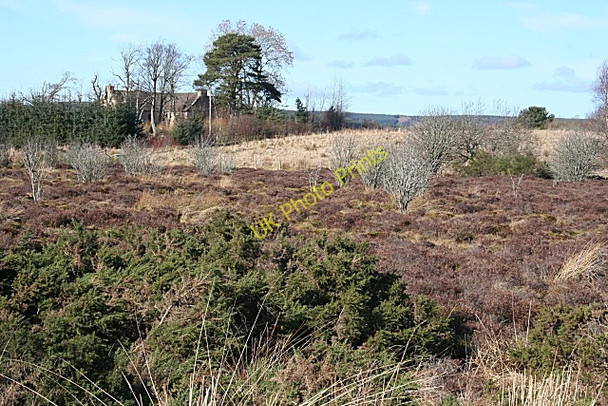 Photo 6"x4" Foggy Moss Grange Crossroads c2009