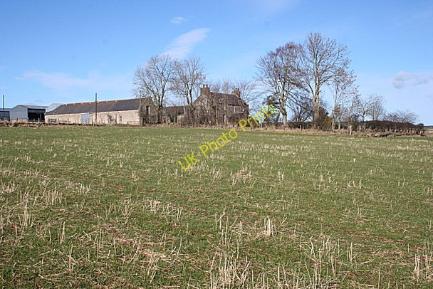 Photo 6"x4" Mains of Paithnick Davoch of Grange c2009