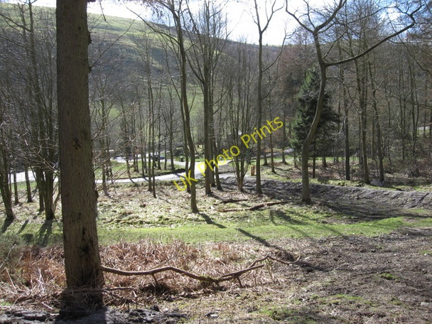 Photo 6"x4" Woodland and car park below Moel Famau Tafarn-y-Gelyn c2009