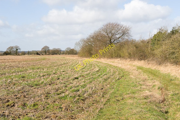 Photo 6"x4" Footpath south of Manor Farm, Bramdean Hinton Ampner c2009