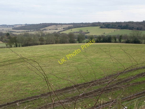 Photo 6"x4" Looking NE across the downs Waltham\/TR1048 c2009