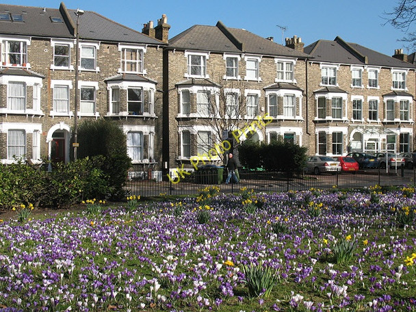 Photo 6"x4" Spring flowers in Batley Park Greenwich\/TQ3977 c2009