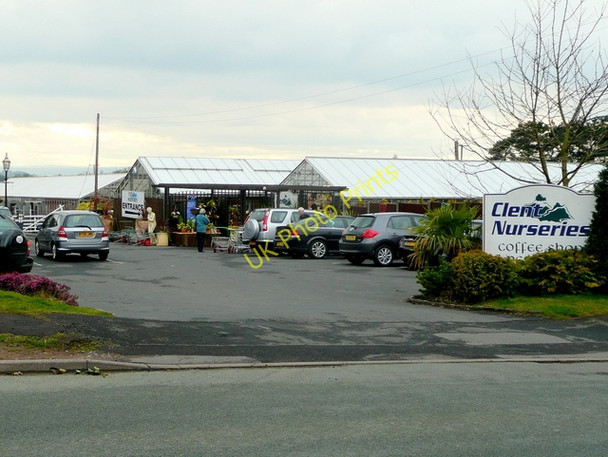 Photo 6"x4" Clent Nurseries Clent c2009
