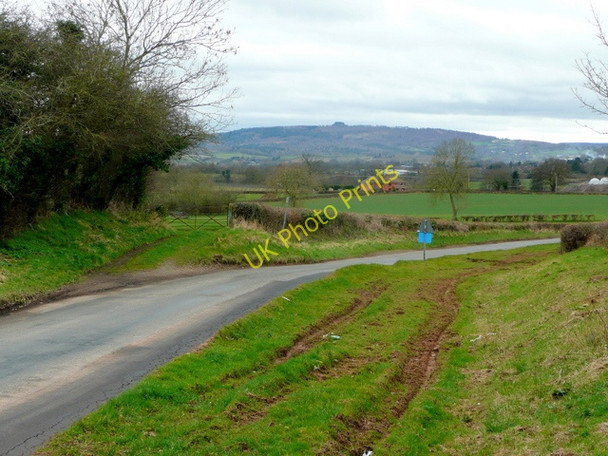 Photo 6"x4" Road to Newent Brand Green\/SO7428 c2009