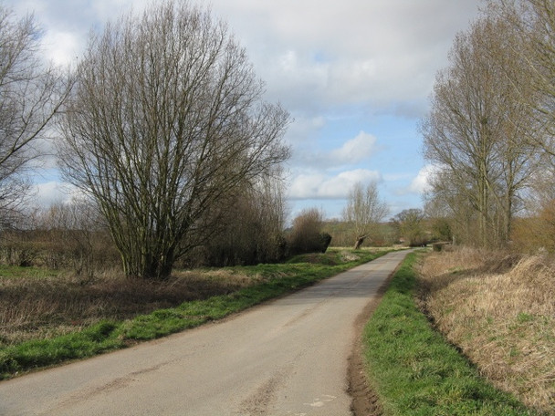 Photo 6"x4" North Of The Triangle Whitechurch Maund c2009