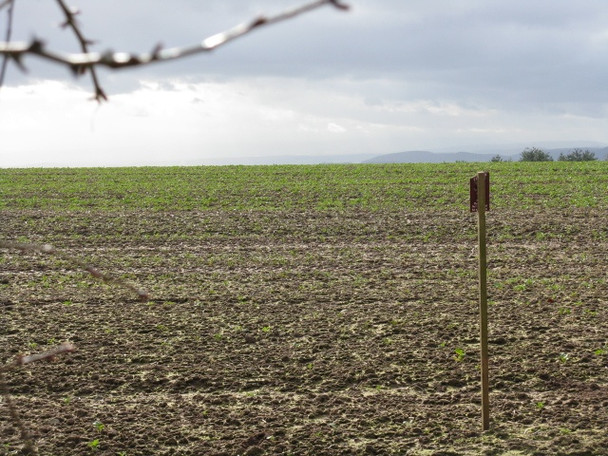 Photo 6"x4" Marker Post Pencombe c2009