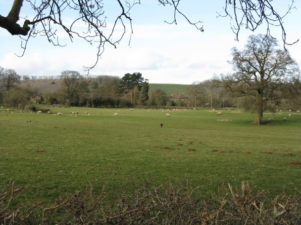 Photo 6"x4" Fields Of Ullingswick Ullingswick c2009
