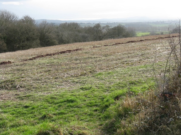 Photo 6"x4" Hillside Near Bleak Acre Bleak Acre c2009