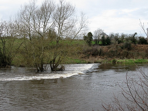 Photo 6"x4" Barrow Weir Borris c2009