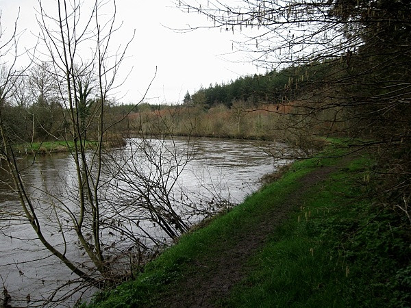 Photo 6"x4" River Bend Graiguenamanagh c2009