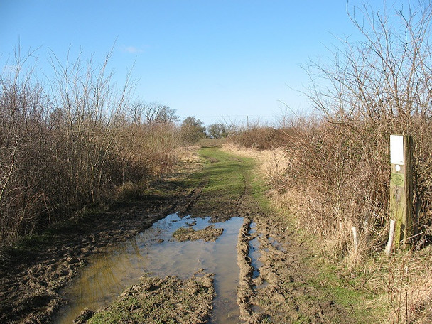 Photo 6"x4" Permissive footpath to Dors Cottage Turvey c2009