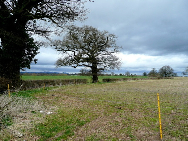 Photo 6"x4" Pastoral Leadon floodplain Corse\/SO7826 c2009