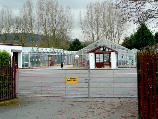 Photo 6"x4" Badgeworth Nurseries Little Shurdington c2009