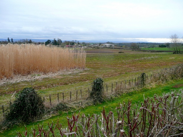 Photo 6"x4" View east from Country Garden Centre Huntley\/SO7219 c2009